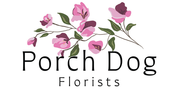 Porch Dog Florists